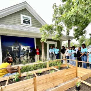 CAMi Artist Residency program