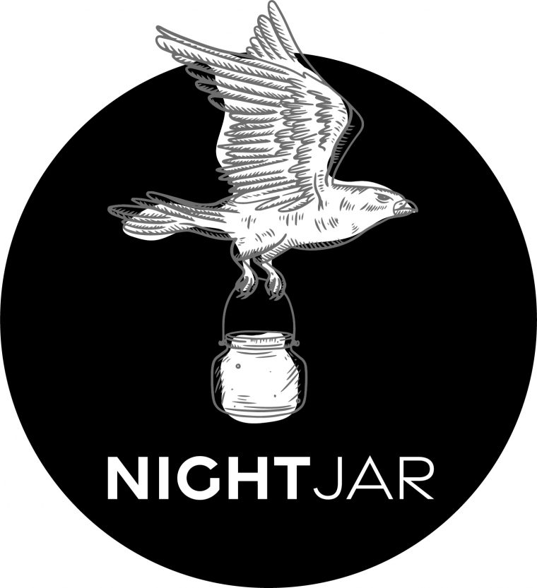 Nightjar a poetry series big car